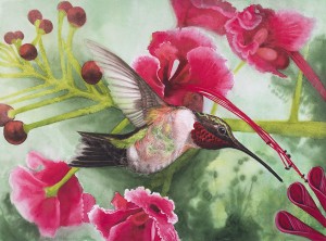 Hummingbird