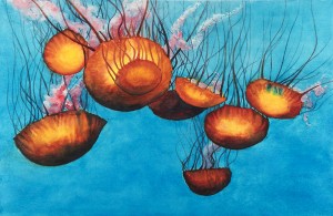 Jellyfish